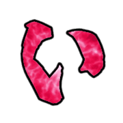 010