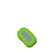 256