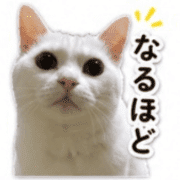 007