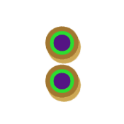 244