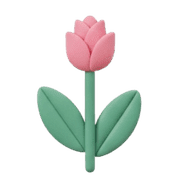 017