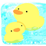 016