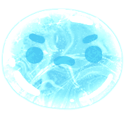 004