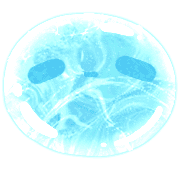 009