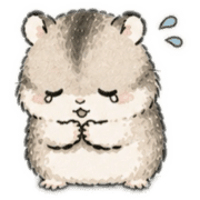 013