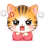 019
