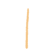 081