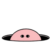 005