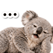008