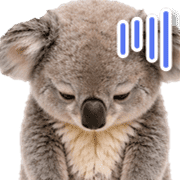 040