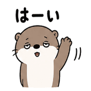 008