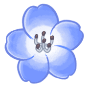 037