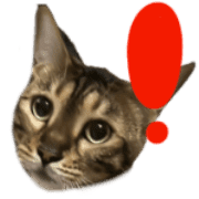 006