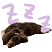 022