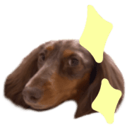 026