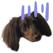 031