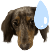 035