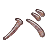 151