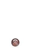 246