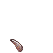256