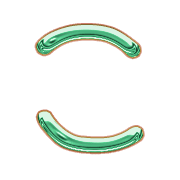 010