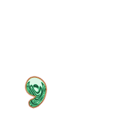 245
