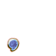245