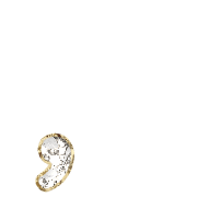245