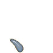 256