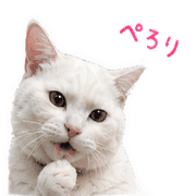 006