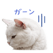 023
