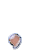 245