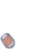 256