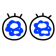 009