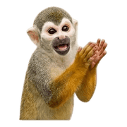 006