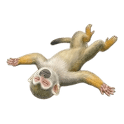 033