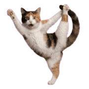 005