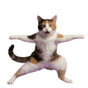 013