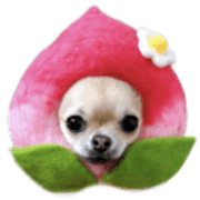 033