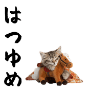 005