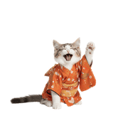 016