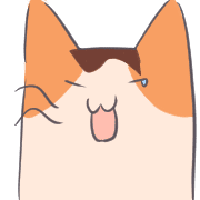 019
