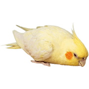 012