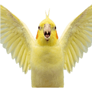 021