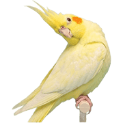 022