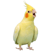 024