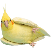 025