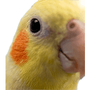 038
