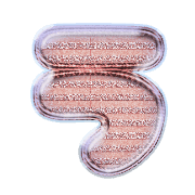 003