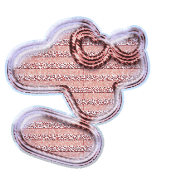 061